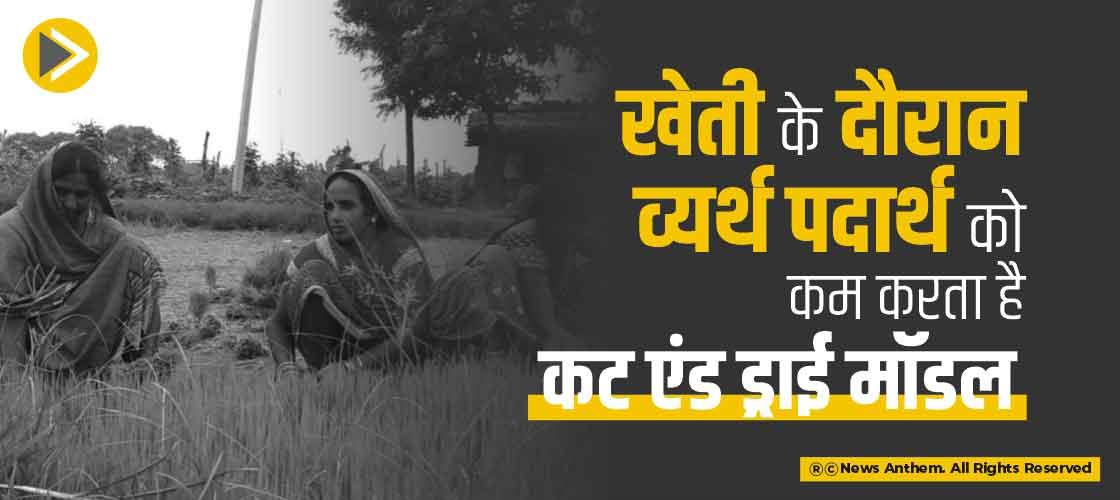 reduces-wastage-during-farming--cut-and-dried-model--